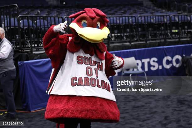 South Carolina Gamecocks