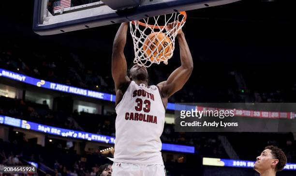 South Carolina Gamecocks 