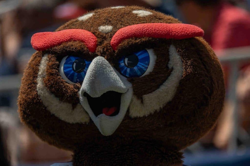 Florida Atlantic Owls